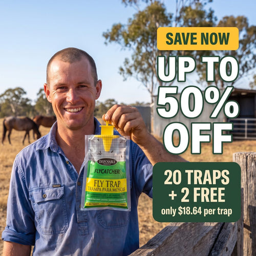 Save up to 50% on the Fly Trap